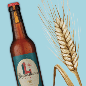 Bodensteiner Pils Flasche mit Hopfen im Hintergrund